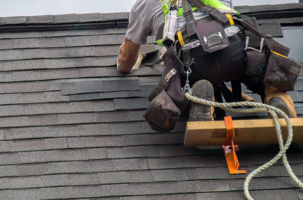 Best Roof Gutter Cleaning  in Cassopolis, MI