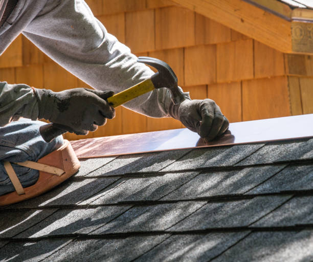Best Metal Roofing Contractor  in Cassopolis, MI